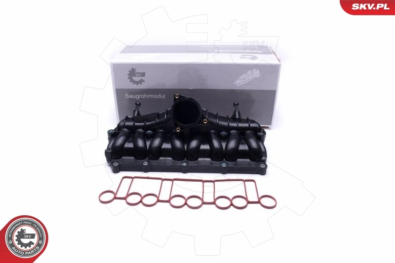 Intake Manifold Module